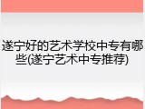 遂宁好的艺术学校中专有哪些(遂宁艺术中专推荐)