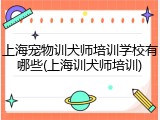 上海宠物训犬师培训学校有哪些(上海训犬师培训)