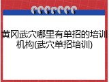 黄冈武穴哪里有单招的培训机构(武穴单招培训)