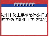沈阳市化工学校是什么样子的学校(沈阳化工学校概况)