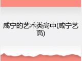 咸宁的艺术类高中(咸宁艺高)