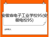 安徽省电子工业学校95(安徽电校95)