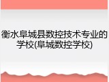 衡水阜城县数控技术专业的学校(阜城数控学校)