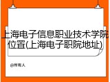 上海电子信息职业技术学院位置(上海电子职院地址)