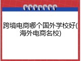 跨境电商哪个国外学校好(海外电商名校)