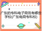 广东的专科电子商务有哪些学校(广东电商专科校)
