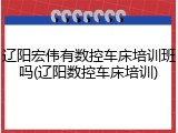 辽阳宏伟有数控车床培训班吗(辽阳数控车床培训)