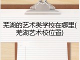 芜湖的艺术类学校在哪里(芜湖艺术校位置)