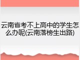云南省考不上高中的学生怎么办呢(云南落榜生出路)