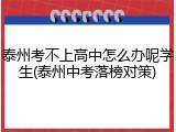 泰州考不上高中怎么办呢学生(泰州中考落榜对策)