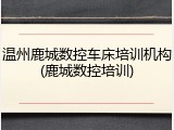 温州鹿城数控车床培训机构(鹿城数控培训)