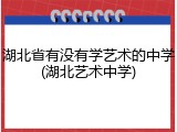湖北省有没有学艺术的中学(湖北艺术中学)
