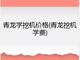 青龙学挖机价格(青龙挖机学费)