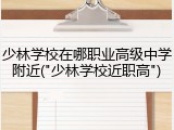 少林学校在哪职业高级中学附近("少林学校近职高")