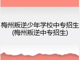 梅州叛逆少年学校中专招生(梅州叛逆中专招生)