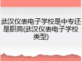 武汉仪表电子学校是中专还是职高(武汉仪表电子学校类型)