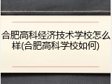 合肥高科经济技术学校怎么样(合肥高科学校如何)