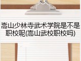 嵩山少林寺武术学院是不是职校呢(嵩山武校职校吗)