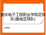 重庆电子工程职业学院足球队(重电足球队)
