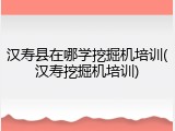 汉寿县在哪学挖掘机培训(汉寿挖掘机培训)