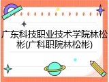 广东科技职业技术学院林松彬(广科职院林松彬)