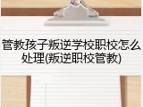 管教孩子叛逆学校职校怎么处理(叛逆职校管教)