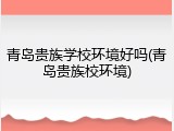 青岛贵族学校环境好吗(青岛贵族校环境)