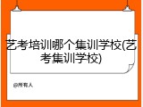 艺考培训哪个集训学校(艺考集训学校)