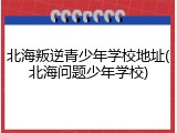 北海叛逆青少年学校地址(北海问题少年学校)