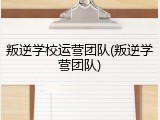 叛逆学校运营团队(叛逆学营团队)