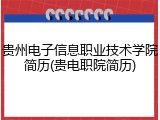 贵州电子信息职业技术学院简历(贵电职院简历)