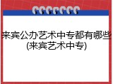 来宾公办艺术中专都有哪些(来宾艺术中专)