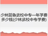 少林延鲁武校中专一年学费多少钱(少林武校中专学费)