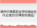 德州宁津县农业学校地址在什么地方(宁津农校地址)
