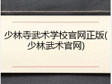 少林寺武术学校官网正版(少林武术官网)