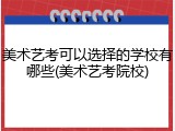 美术艺考可以选择的学校有哪些(美术艺考院校)