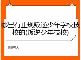 哪里有正规叛逆少年学校技校的(叛逆少年技校)