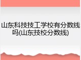 山东科技技工学校有分数线吗(山东技校分数线)