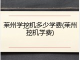 莱州学挖机多少学费(莱州挖机学费)