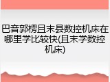 巴音郭楞且末县数控机床在哪里学比较快(且末学数控机床)