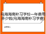 乌海海南补习学校一年费用多少钱(乌海海南补习学费)