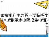 重庆水利电力职业学院招生办电话(重水电院招生电话)