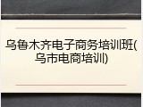 乌鲁木齐电子商务培训班(乌市电商培训)