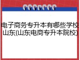 电子商务专升本有哪些学校山东(山东电商专升本院校)
