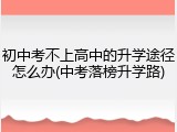 初中考不上高中的升学途径怎么办(中考落榜升学路)