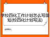 学校四化工作计划怎么写简短(校四化计划写法)