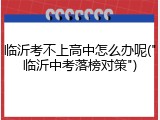 临沂考不上高中怎么办呢("临沂中考落榜对策")