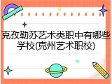 克孜勒苏艺术类职中有哪些学校(克州艺术职校)