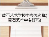 黄石艺术学校中专怎么样(黄石艺术中专好吗)