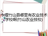 十堰竹山县哪里有农业技术学校啊(竹山农业技校)